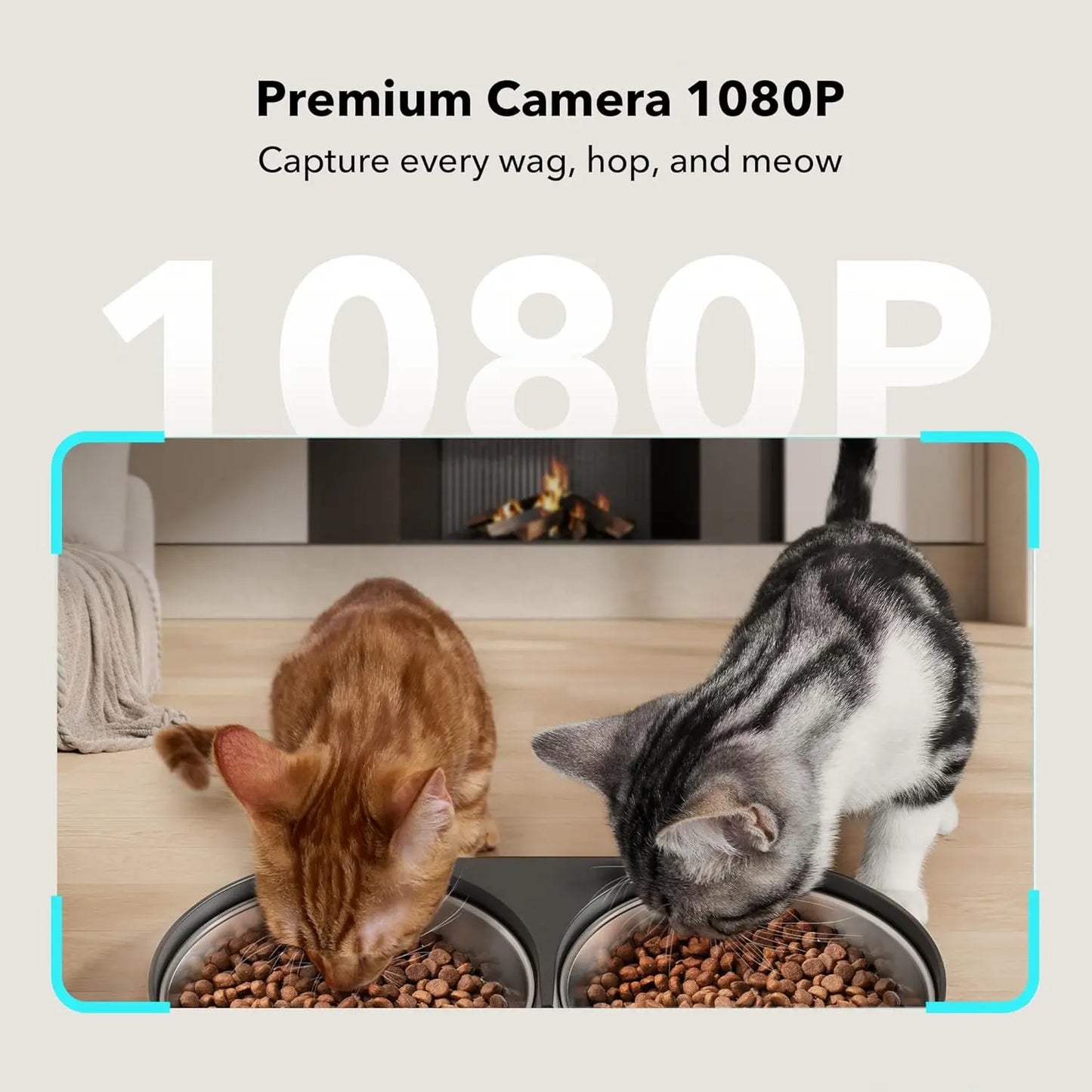 PETLIBRO 5L Automatic Cat Feeder with HD Camera, 1080P Night Vision, 5G WiFi Connectivity, Two-Way Audio, Motion and Sound Alerts, Dual Tray Design for Cats and Dogs, Black